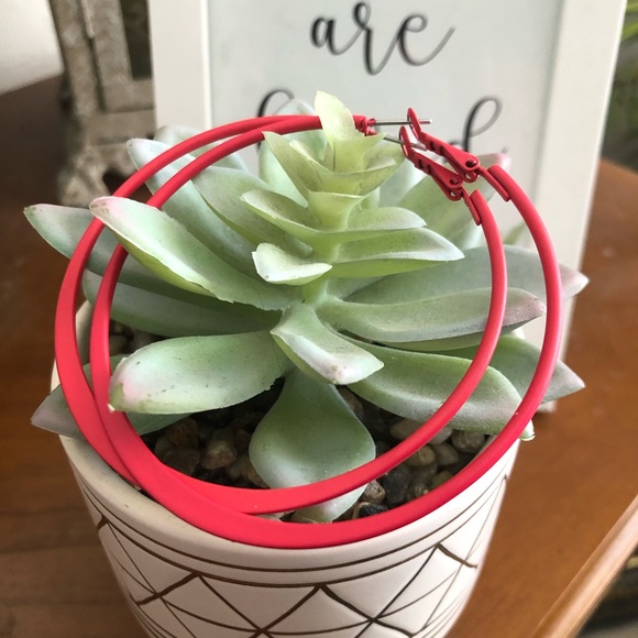 Bundle Loft Bracelet and Hoop Earrings - Picture 10 of 10